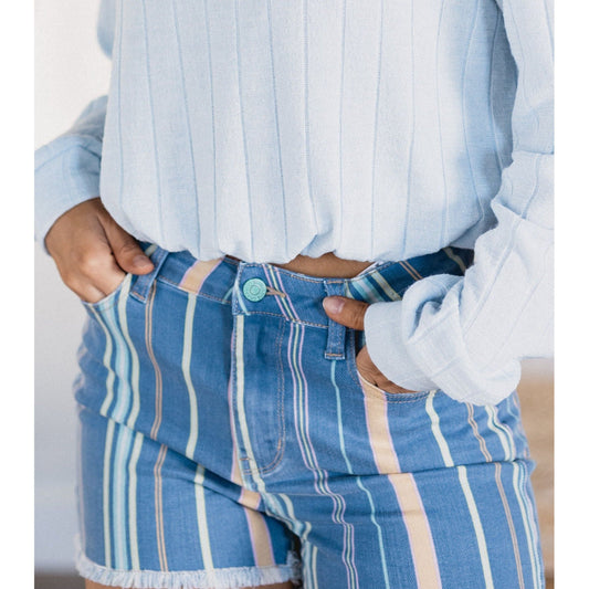 Judy Blue - Beach Striped Shorts